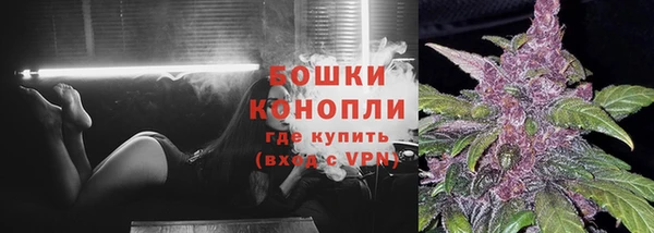 соль ск Богородск