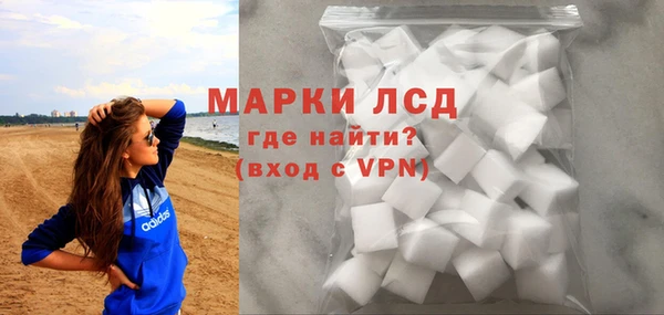 молекула духа Богданович