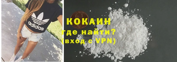 молекула духа Богданович