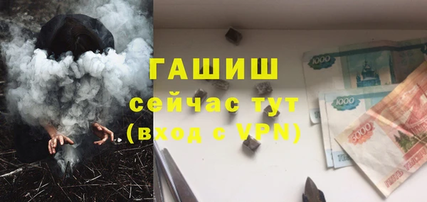 молекула духа Богданович
