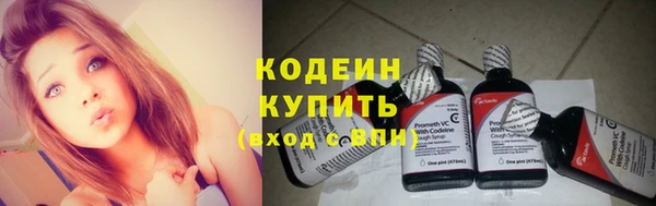 молекула духа Богданович