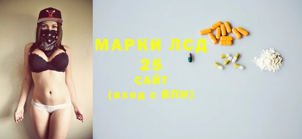 молекула духа Богданович