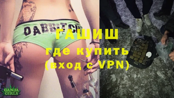 молекула духа Богданович