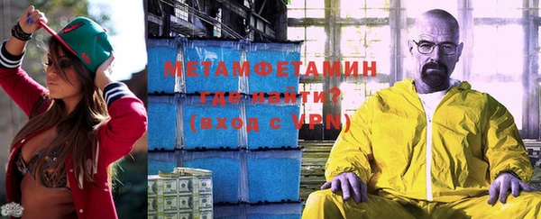 молекула духа Богданович