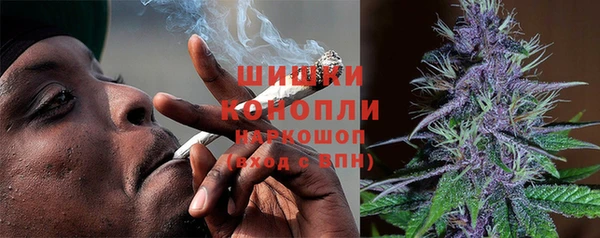 молекула духа Богданович