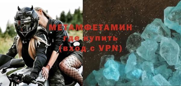 молекула духа Богданович