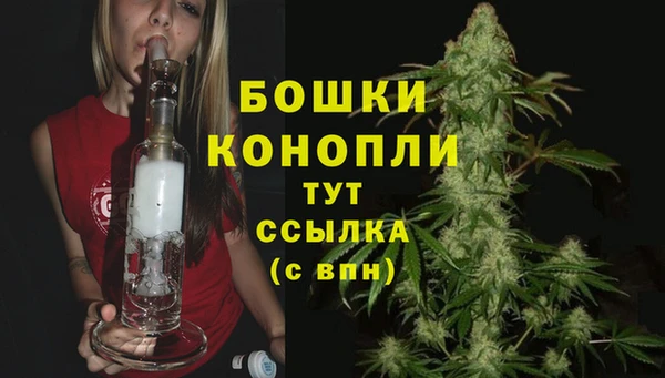 молекула духа Богданович